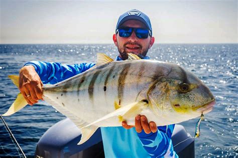 trevally fish|Types of Trevally: All You Need to Know for 2025 .
